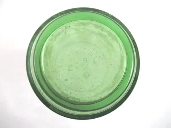 Libbey Vintage Green Juice Glasses Butterfly Floral Set of 2