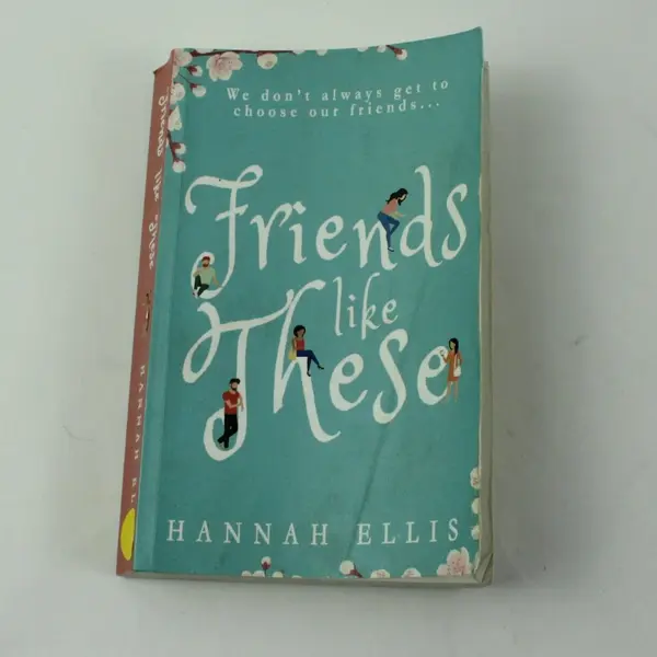 Friends Like These A Novel by Hannah Ellis 2015 PB Contemporary Fiction Book