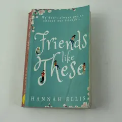 Friends Like These A Novel by Hannah Ellis 2015 PB Contemporary Fiction Book