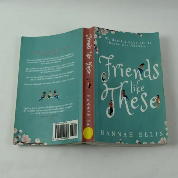 Friends Like These A Novel by Hannah Ellis 2015 PB Contemporary Fiction Book