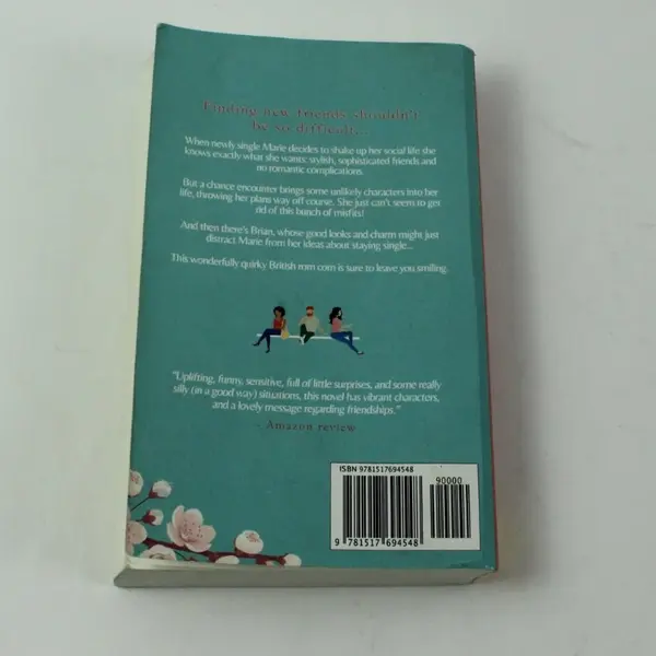 Friends Like These A Novel by Hannah Ellis 2015 PB Contemporary Fiction Book