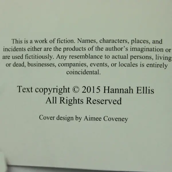 Friends Like These A Novel by Hannah Ellis 2015 PB Contemporary Fiction Book