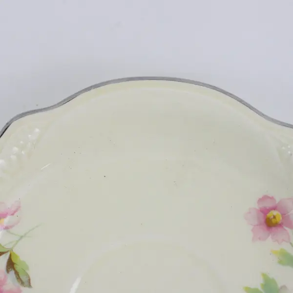 Set of 7 Antique C.C. Thompson Floral Fruit Bowls Decorative Serveware