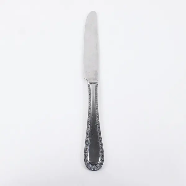 Cuisinart China Stainless Steel Dinner Knife 9.5 Inch Decorative Handle