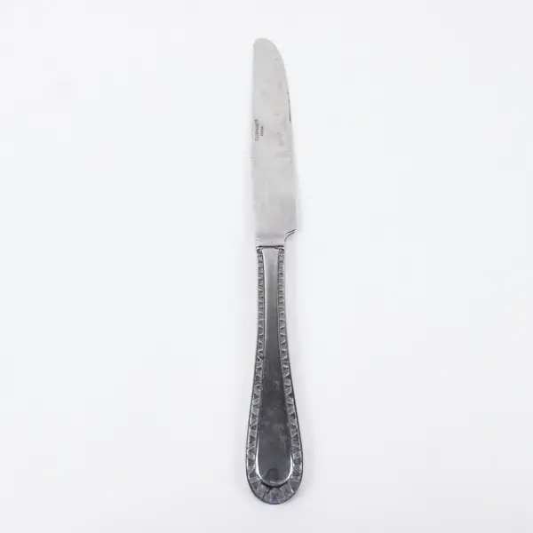 Cuisinart China Stainless Steel Dinner Knife 9.5 Inch Decorative Handle