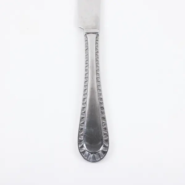 Cuisinart China Stainless Steel Dinner Knife 9.5 Inch Decorative Handle