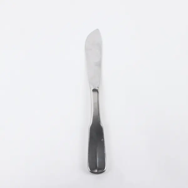 Reed & Barton Mirrorstele Salem Stainless Steel Butter Knife
