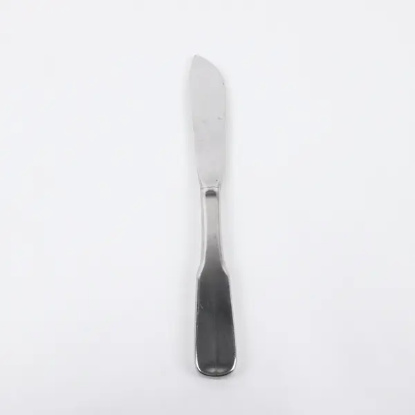 Reed & Barton Mirrorstele Salem Stainless Steel Butter Knife