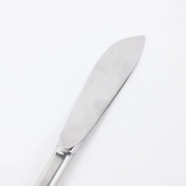 Reed & Barton Mirrorstele Salem Stainless Steel Butter Knife