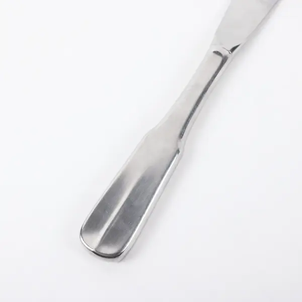 Reed & Barton Mirrorstele Salem Stainless Steel Butter Knife