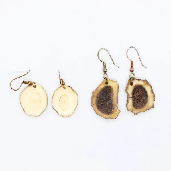 Natural Deer Antler Slice Earrings Handmade Fishhook 2 Pair Set