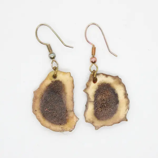 Natural Deer Antler Slice Earrings Handmade Fishhook 2 Pair Set