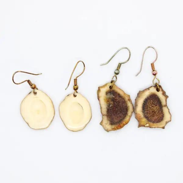 Natural Deer Antler Slice Earrings Handmade Fishhook 2 Pair Set