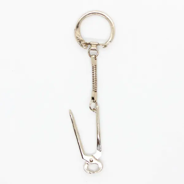 Locking Snap-End Key Ring with Snake Chain Keychain