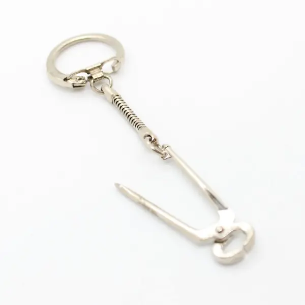 Locking Snap-End Key Ring with Snake Chain Keychain
