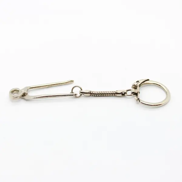Locking Snap-End Key Ring with Snake Chain Keychain