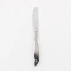 Oneida Twin Star Community Stainless Steel Dinner Knife 8.5 in
