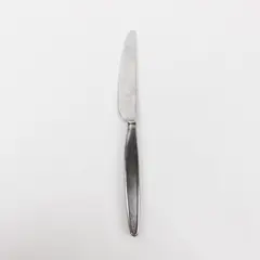 WMF Korea Stainless Steel Table Knife 9 Inch Polished Handle
