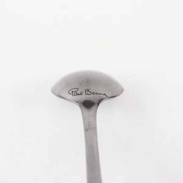 Paul Bocuse Reed & Barton Select Stainless Teaspoon Korea