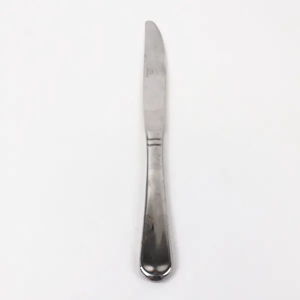 Mikasa Colette Stainless Steel Dinner Knife 9.3 in Single Replacement