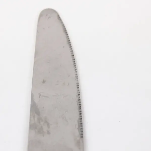 Amazon Basics Stainless Steel Serrated Table Knife 9.45 in 1pc 13/0