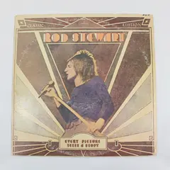 Rod Stewart Every Picture Tells a Story 1971 12-Inch Vinyl LP Mercury 