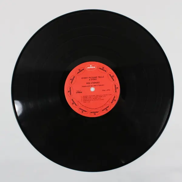 Rod Stewart Every Picture Tells a Story 1971 12-Inch Vinyl LP Mercury 