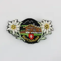 Switzerland Edelweiss Embroidered Souvenir Patch Alpine Mountain Chalet 3" Wide