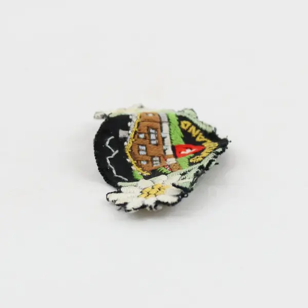Switzerland Edelweiss Embroidered Souvenir Patch Alpine Mountain Chalet 3" Wide