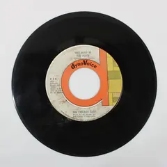 The Chicago Loop This Must Be The Place/My Baby Comes To Me 7" Vinyl Record