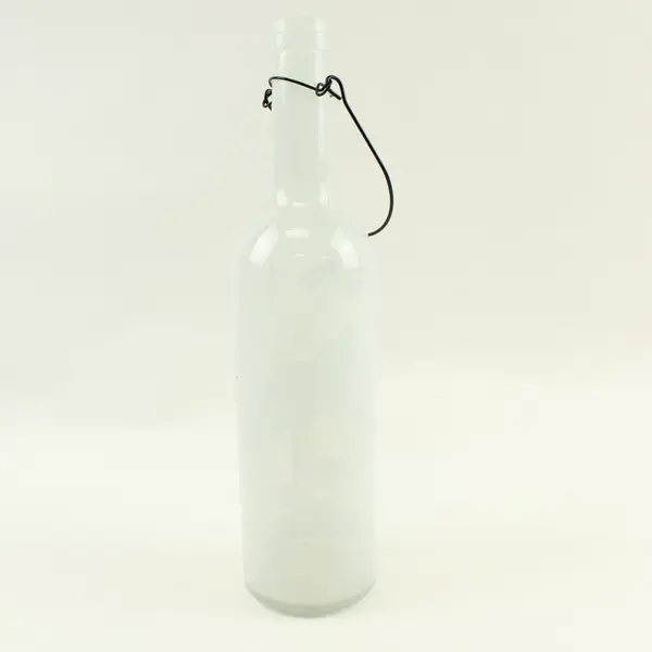 Decorative Glass Bottle Mushroom Butterfly Dragonfly Botanical Wire Hanger