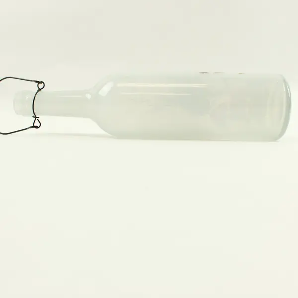 Decorative Glass Bottle Mushroom Butterfly Dragonfly Botanical Wire Hanger