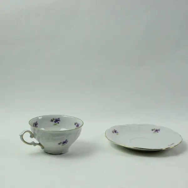 Winterling Bavaria Remembrance Flat Cup & Saucer Set Porcelain