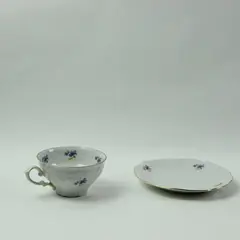 Winterling Bavaria Remembrance Flat Cup & Saucer Set Porcelain