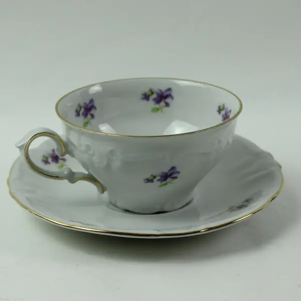 Winterling Bavaria Remembrance Flat Cup & Saucer Set Porcelain