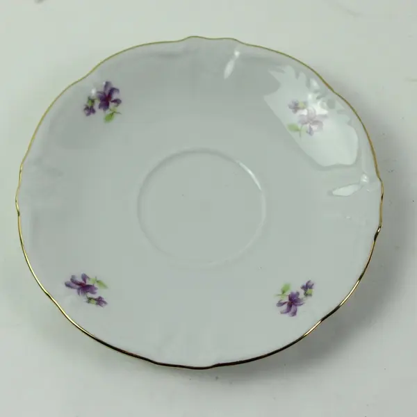 Winterling Bavaria Remembrance Flat Cup & Saucer Set Porcelain