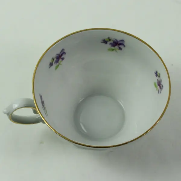 Winterling Bavaria Remembrance Flat Cup & Saucer Set Porcelain