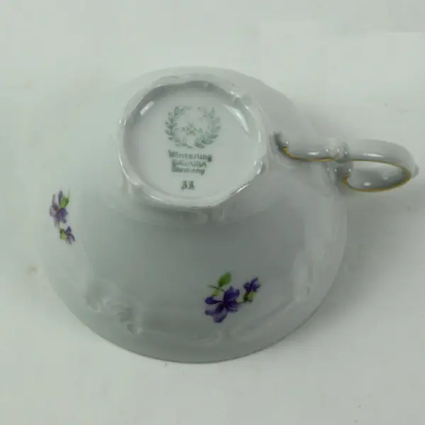 Winterling Bavaria Remembrance Flat Cup & Saucer Set Porcelain