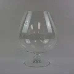 Large Clear Glass Brandy Snifter Bowl Goblet Etched Leaves