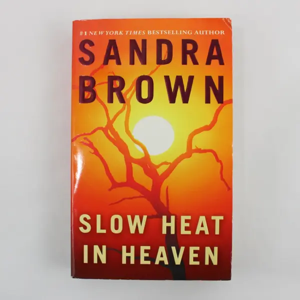 Lot of 2 Sandra Brown Paperback Novels 2004 & 2012 Good Condition