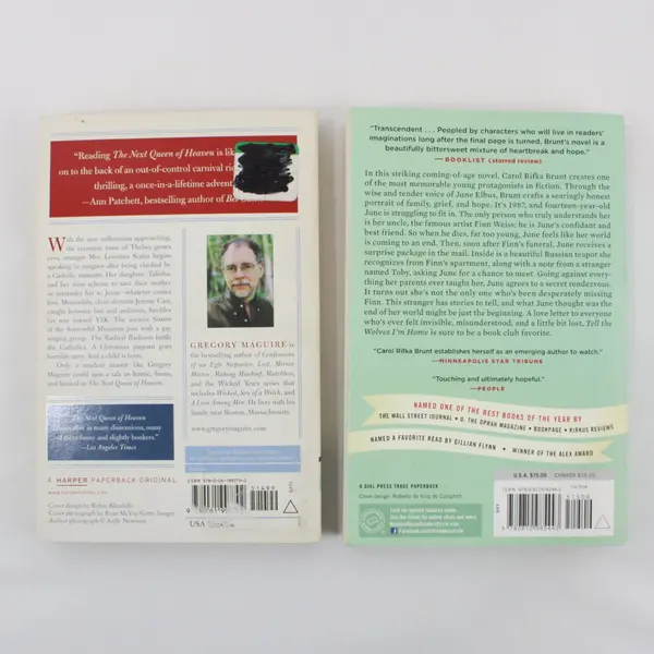 2 Paperback Novels Gregory Maguire Carol Rifka Brunt Tell the Wolves I'm Home