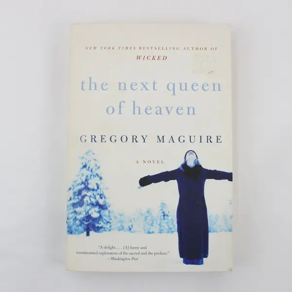 2 Paperback Novels Gregory Maguire Carol Rifka Brunt Tell the Wolves I'm Home