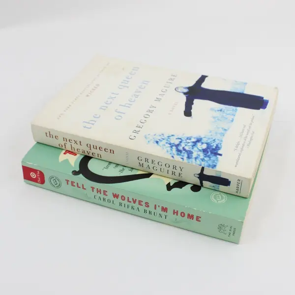 2 Paperback Novels Gregory Maguire Carol Rifka Brunt Tell the Wolves I'm Home