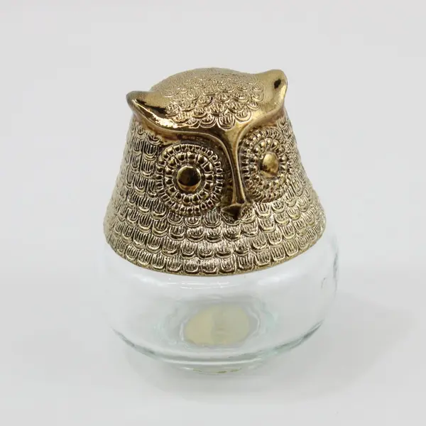 Vintage Avon Clear Glass Owl Cologne Bottle 4 oz Empty