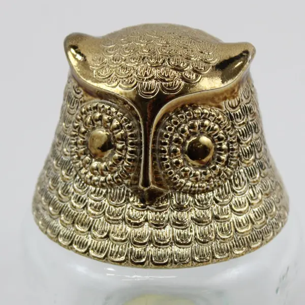 Vintage Avon Clear Glass Owl Cologne Bottle 4 oz Empty