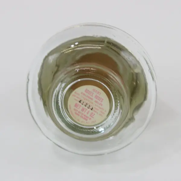 Vintage Avon Clear Glass Owl Cologne Bottle 4 oz Empty
