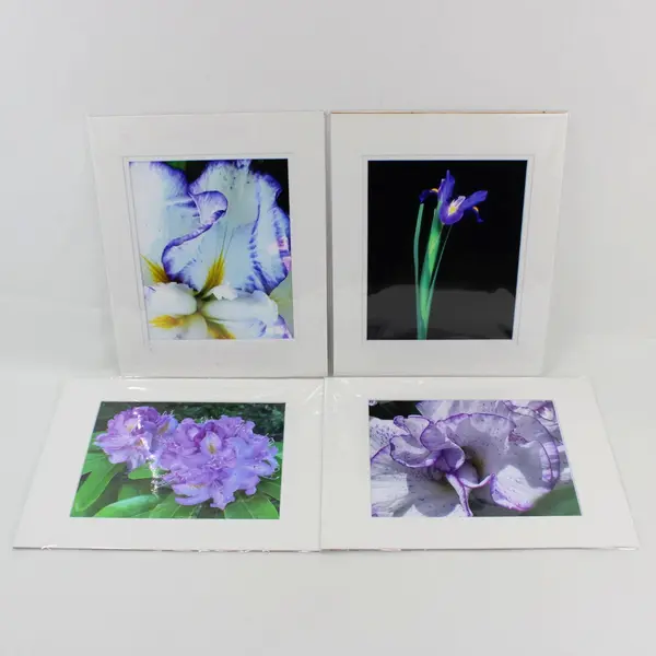 Lot of 4 Matted Purple Flower Art Photographs 11x14