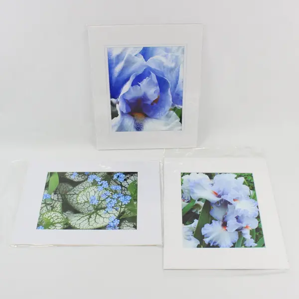 Lot of 3 Matted Blue Flower Art Photographs 11x14
