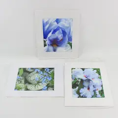 Lot of 3 Matted Blue Flower Art Photographs 11x14