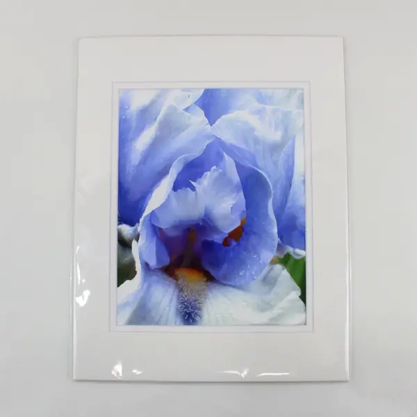 Lot of 3 Matted Blue Flower Art Photographs 11x14